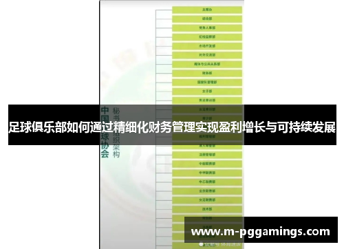 足球俱乐部如何通过精细化财务管理实现盈利增长与可持续发展