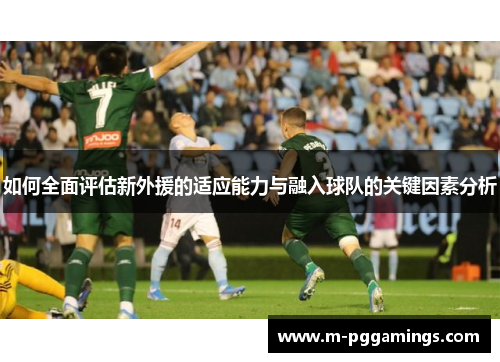 如何全面评估新外援的适应能力与融入球队的关键因素分析