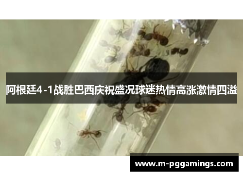 阿根廷4-1战胜巴西庆祝盛况球迷热情高涨激情四溢
