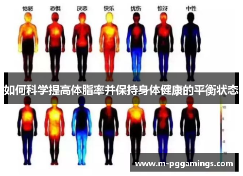 如何科学提高体脂率并保持身体健康的平衡状态