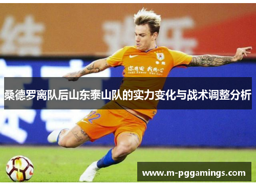 桑德罗离队后山东泰山队的实力变化与战术调整分析