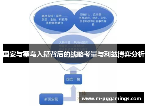 国安与塞鸟入籍背后的战略考量与利益博弈分析