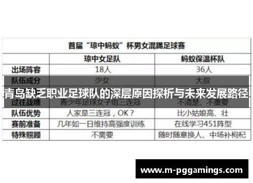 青岛缺乏职业足球队的深层原因探析与未来发展路径