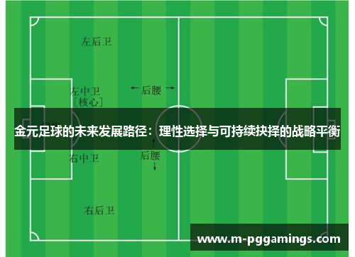 金元足球的未来发展路径：理性选择与可持续抉择的战略平衡