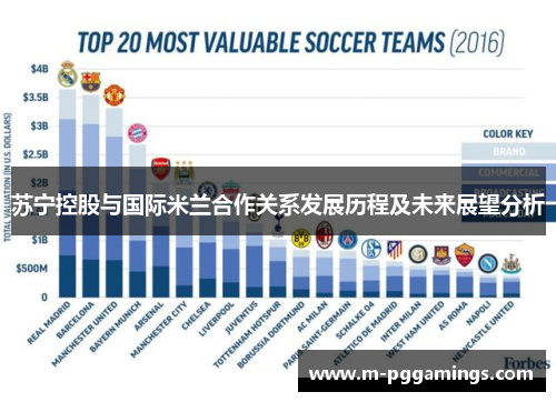 苏宁控股与国际米兰合作关系发展历程及未来展望分析