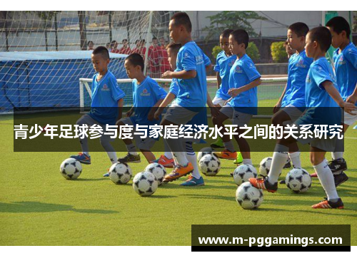 青少年足球参与度与家庭经济水平之间的关系研究